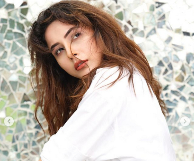 डब्बू रतनानी के लिए शहनाज गिल ने कराया सीजलिंग फोटोशूट, एक्ट्रेस का लुक देखकर उड़ जाएंगे होश  